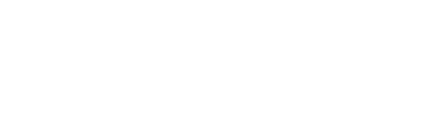 Mirror ORG