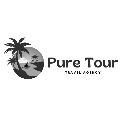 MirrorORG pure tour