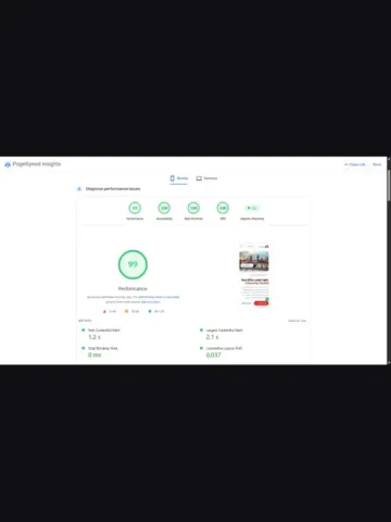 PageSpeed Insights